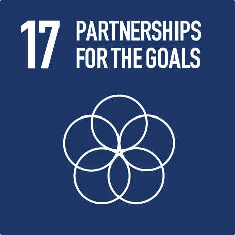 sdg-17
